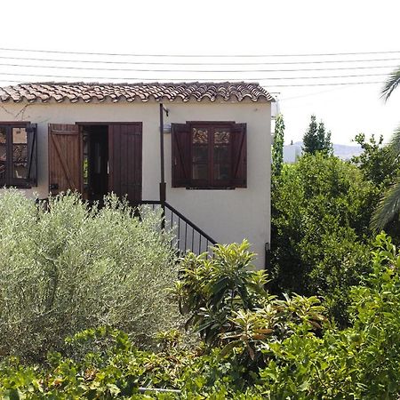 Avli-The Courtyard Hotel Nicosia Luaran gambar