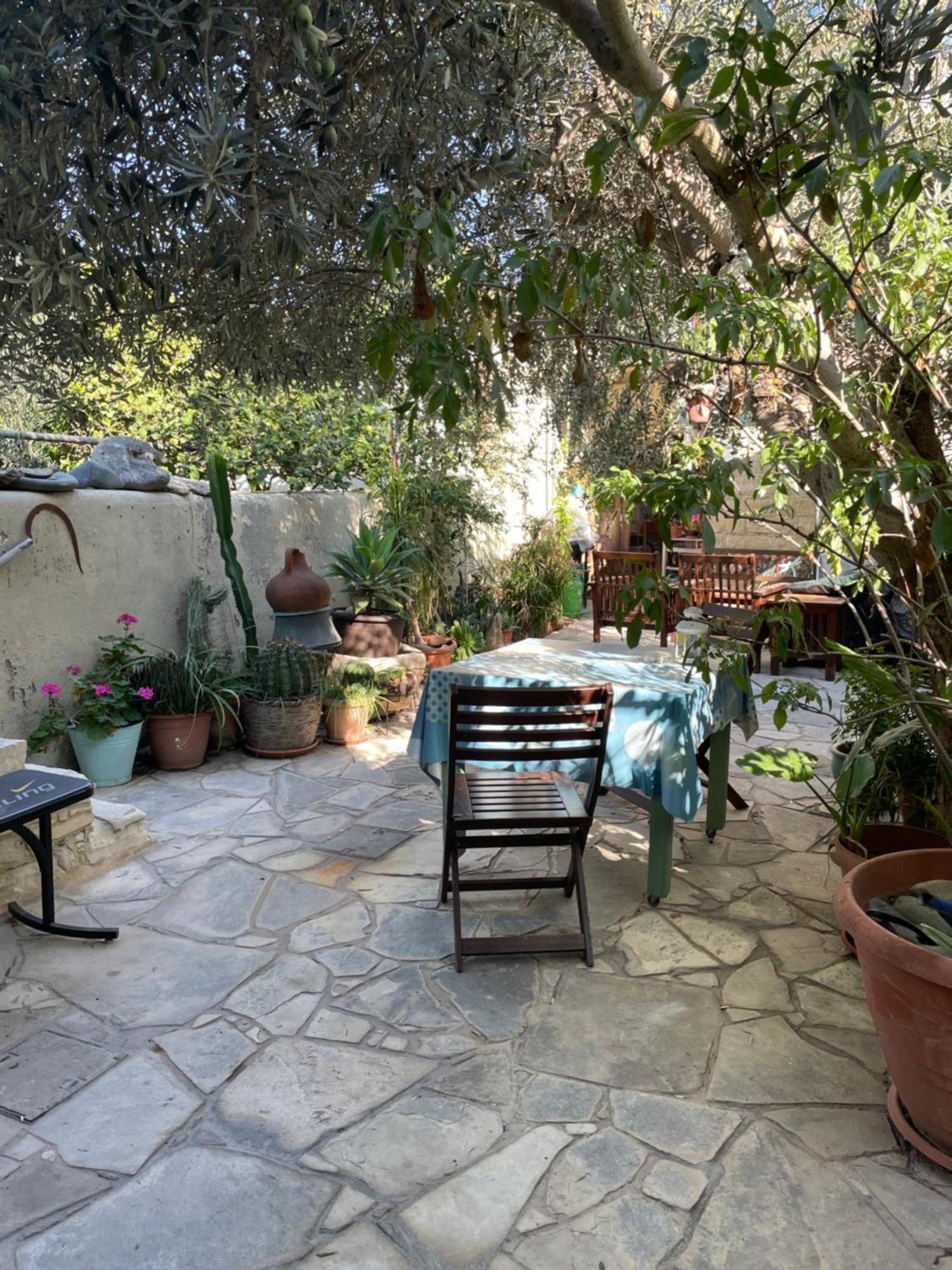 Avli-The Courtyard Hotel Nicosia Luaran gambar